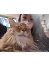 Ronno - るいの女の子ブログ画像