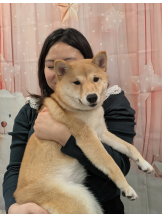 Ronno - るいの女の子ブログ画像