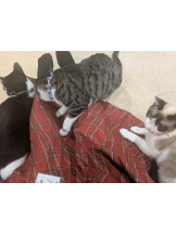 Ronno - るいの女の子ブログ画像