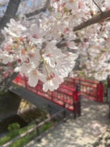 アチュゲッチュ - みおの女の子ブログ画像