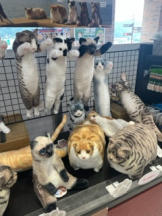 アチュゲッチュ - みおの女の子ブログ画像