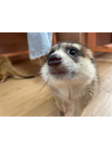 アチュゲッチュ - みおの女の子ブログ画像