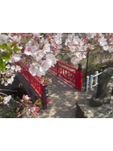 アチュゲッチュ - みおの女の子ブログ画像