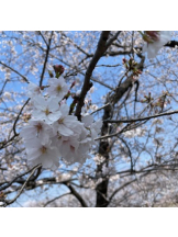 アチュゲッチュ - みおの女の子ブログ画像