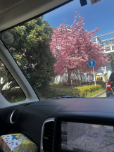 アチュゲッチュ - 璃乃の女の子ブログ画像