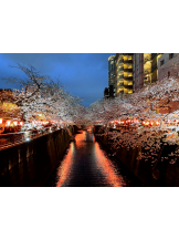 アチュゲッチュ - 璃乃の女の子ブログ画像