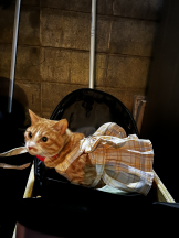 アチュゲッチュ - 璃乃の女の子ブログ画像