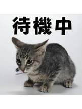 エマニエル 神田店 - るるの女の子ブログ画像