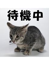 エマニエル 神田店 - るるの女の子ブログ画像