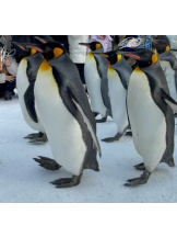 rejas(レジャス) - あかりの女の子ブログ画像