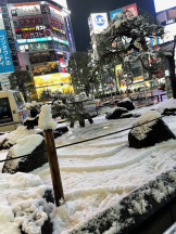 rejas(レジャス) - あかりの女の子ブログ画像