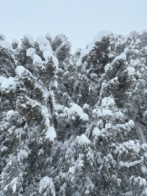 rejas(レジャス) - あかりの女の子ブログ画像