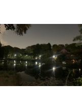 Ronno - あきの女の子ブログ画像