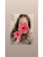 ARCANA - イロハの女の子ブログ画像
