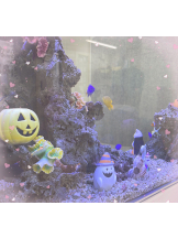 はっち 神田店 - りとの女の子ブログ画像