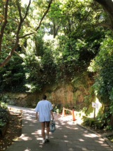 武蔵小杉 シュシュ - れおなの女の子ブログ画像