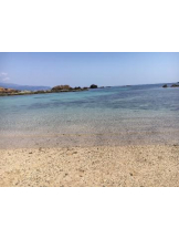 武蔵小杉 シュシュ - れおなの女の子ブログ画像