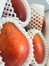 武蔵小杉 シュシュ - れおなの女の子ブログ画像