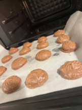 武蔵小杉 シュシュ - れおなの女の子ブログ画像