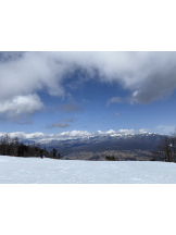 武蔵小杉 シュシュ - れおなの女の子ブログ画像