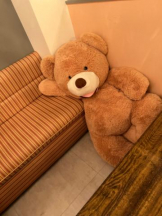 武蔵小杉 シュシュ - れおなの女の子ブログ画像