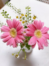 Felice(フェリス) - みどりの女の子ブログ画像