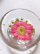 Felice(フェリス) - みどりの女の子ブログ画像