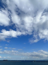 Felice(フェリス) - みどりの女の子ブログ画像