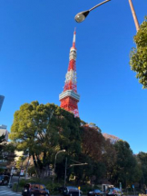 Felice(フェリス) - みどりの女の子ブログ画像