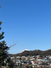 Felice(フェリス) - みどりの女の子ブログ画像