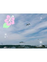 Felice(フェリス) - みどりの女の子ブログ画像