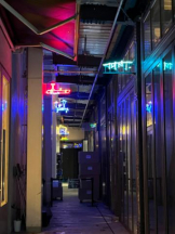 Felice(フェリス) - みどりの女の子ブログ画像