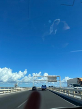 Felice(フェリス) - みどりの女の子ブログ画像