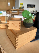 Felice(フェリス) - みどりの女の子ブログ画像