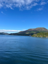 Felice(フェリス) - みどりの女の子ブログ画像