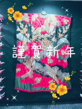 Felice(フェリス) - みどりの女の子ブログ画像