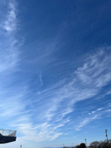 Felice(フェリス) - みどりの女の子ブログ画像