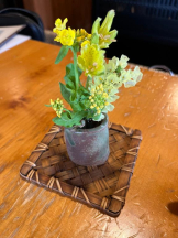 Felice(フェリス) - みどりの女の子ブログ画像