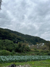 Felice(フェリス) - みどりの女の子ブログ画像