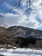 Felice(フェリス) - みどりの女の子ブログ画像