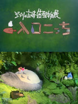 ZOOM - ミナの女の子ブログ画像