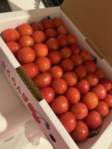 ZOOM - ミナの女の子ブログ画像