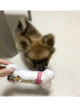 ZOOM - ミナの女の子ブログ画像