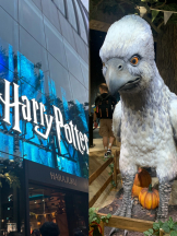 ZOOM - ミナの女の子ブログ画像