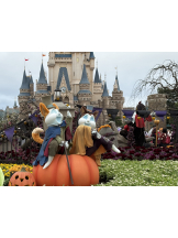 ZOOM - ミナの女の子ブログ画像