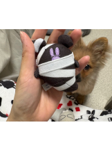 ZOOM - ミナの女の子ブログ画像