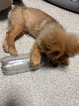 ZOOM - ミナの女の子ブログ画像