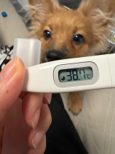 ZOOM - ミナの女の子ブログ画像