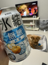 ZOOM - ミナの女の子ブログ画像