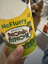 ZOOM - ミナの女の子ブログ画像